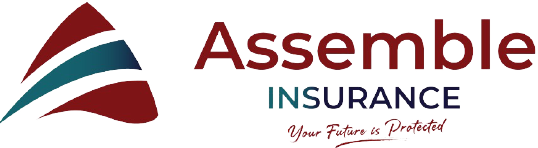 Insurance Logo 4